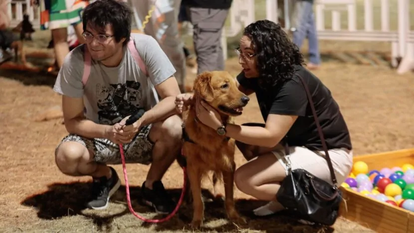 Rolê dos Pets retorna a Natal com adoção de animais, serviços de saúde e atrações culturais