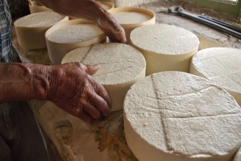 Ceará-Mirim regulamenta produção de queijos artesanais e fortalece economia rural