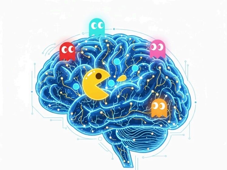 Instituto do Cérebro faz encontro sobre vício em bets e jogos digitais em Natal