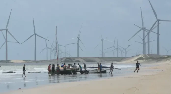 Em carta, MAR denuncia impactos da expansão de energias renováveis no Brasil